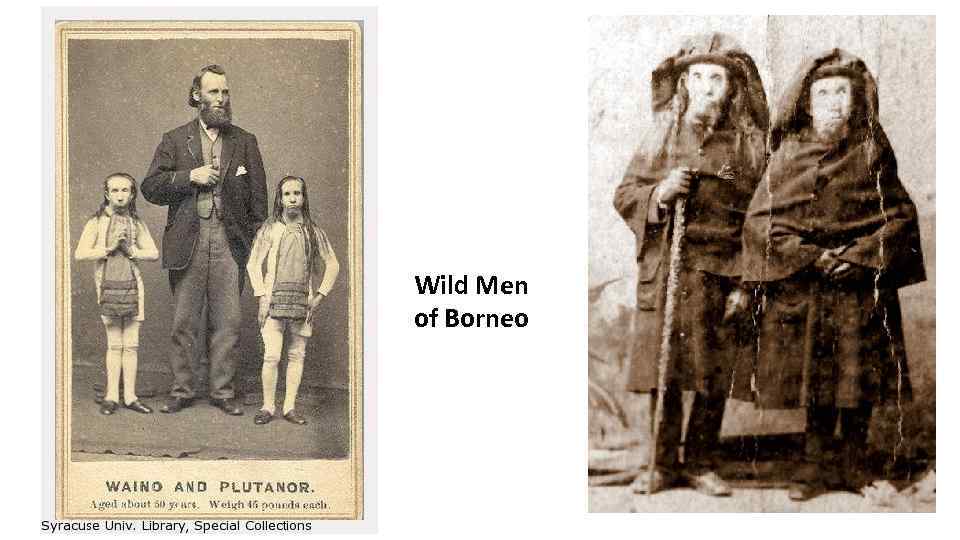 Wild Men of Borneo 