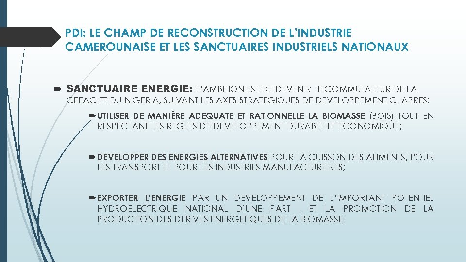 PDI: LE CHAMP DE RECONSTRUCTION DE L’INDUSTRIE CAMEROUNAISE ET LES SANCTUAIRES INDUSTRIELS NATIONAUX SANCTUAIRE