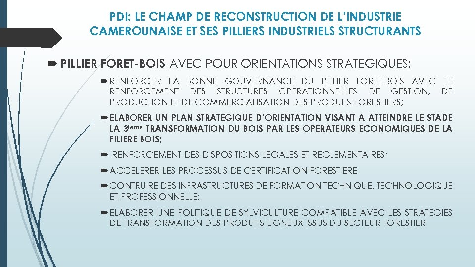 PDI: LE CHAMP DE RECONSTRUCTION DE L’INDUSTRIE CAMEROUNAISE ET SES PILLIERS INDUSTRIELS STRUCTURANTS PILLIER
