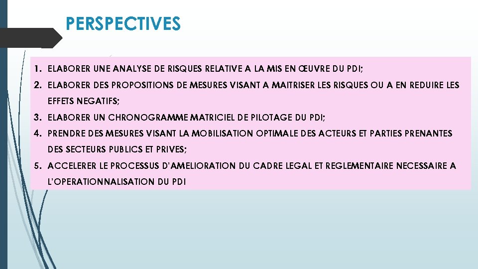 PERSPECTIVES 1. ELABORER UNE ANALYSE DE RISQUES RELATIVE A LA MIS EN ŒUVRE DU