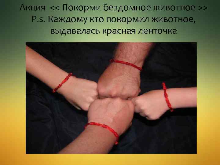 Акция << Покорми бездомное животное >> P. s. Каждому кто покормил животное, выдавалась красная
