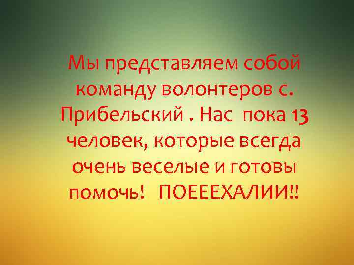 Мы представляем собой команду волонтеров с. Прибельский. Нас пока 13 человек, которые всегда очень