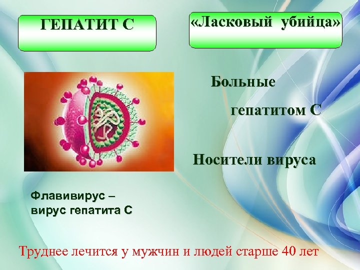 ГЕПАТИТ С «Ласковый убийца» Больные гепатитом С Носители вируса Флавивирус – вирус гепатита С