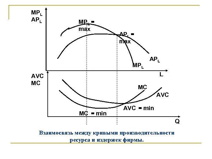 MРL АРL MРL = max АРL = max MРL АРL L AVC MC MC