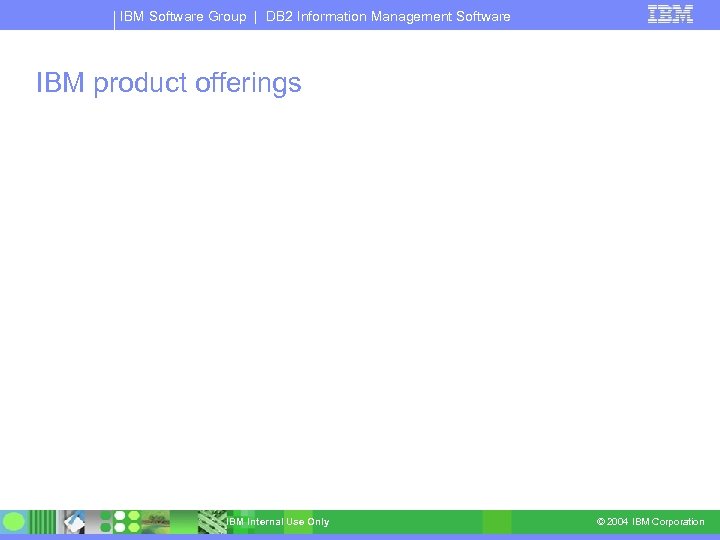 IBM Software Group | DB 2 Information Management Software IBM product offerings IBM Internal
