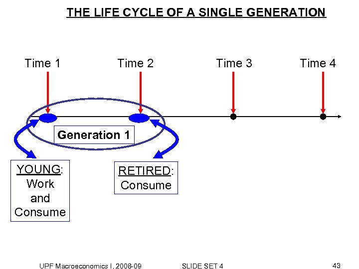 THE LIFE CYCLE OF A SINGLE GENERATION Time 1 Time 2 Time 3 Time