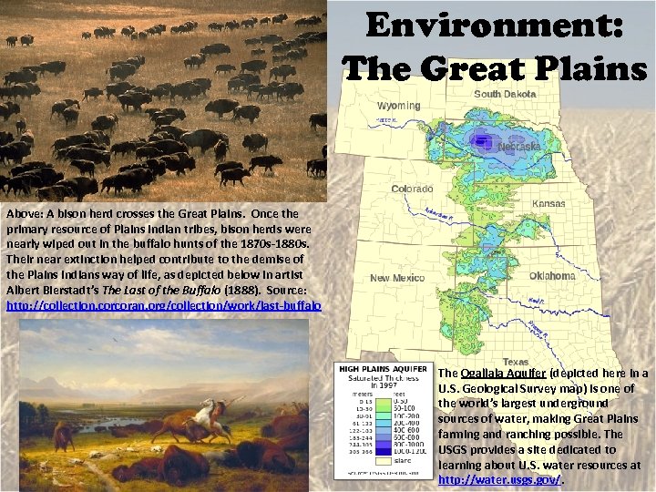 Environment: The Great Plains Above: A bison herd crosses the Great Plains. Once the