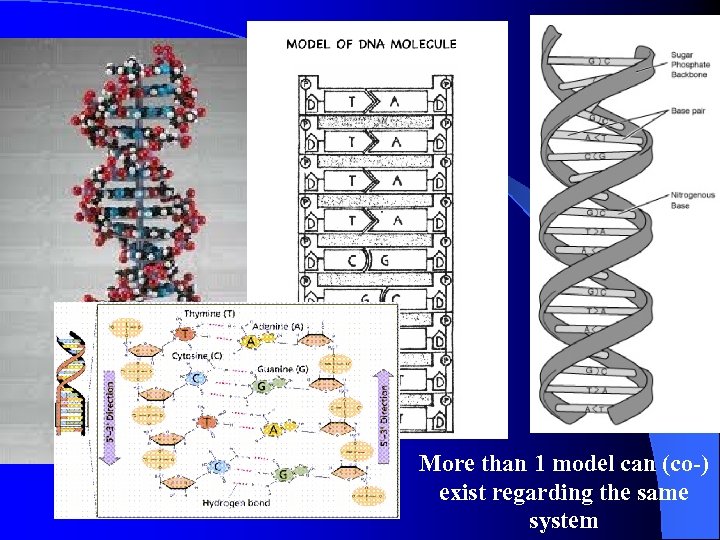 More than 1 model can (co-) exist regarding the same system 