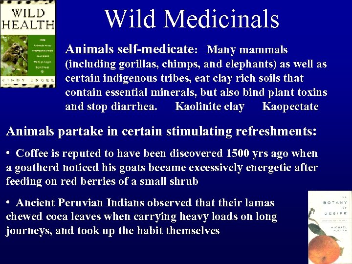 Wild Medicinals Animals self-medicate: Many mammals (including gorillas, chimps, and elephants) as well as