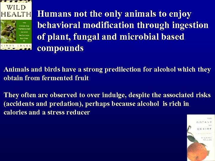 Humans not the only animals to enjoy behavioral modification through ingestion of plant, fungal