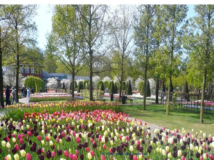 NORDAF, 09. 01. 2010, Sidsel Tuft 