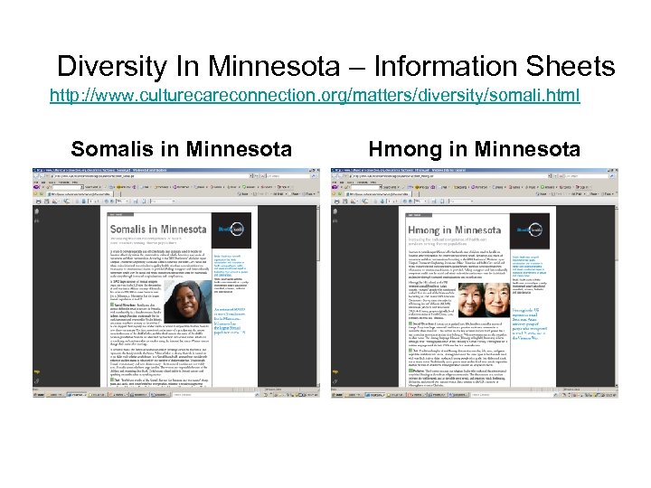 Diversity In Minnesota – Information Sheets http: //www. culturecareconnection. org/matters/diversity/somali. html Somalis in Minnesota