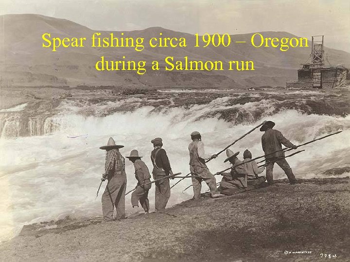 Spear fishing circa 1900 – Oregon during a Salmon run 