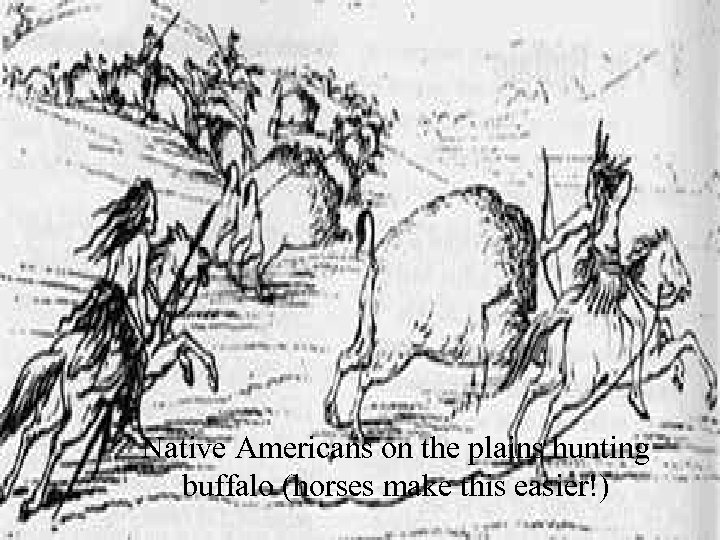 Native Americans on the plains hunting buffalo (horses make this easier!) 