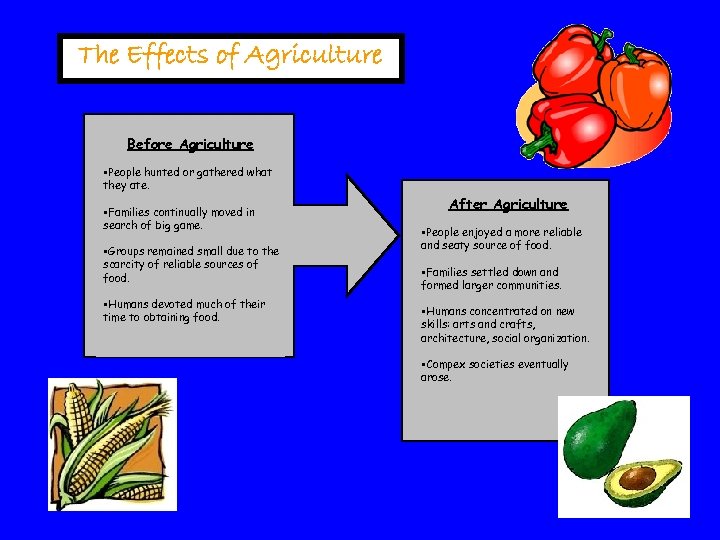 The Effects of Agriculture Before Agriculture §People hunted or gathered what they ate. §Families