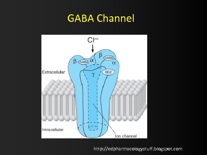 GABA Channel http: //edpharmacologystuff. blogspot. com 