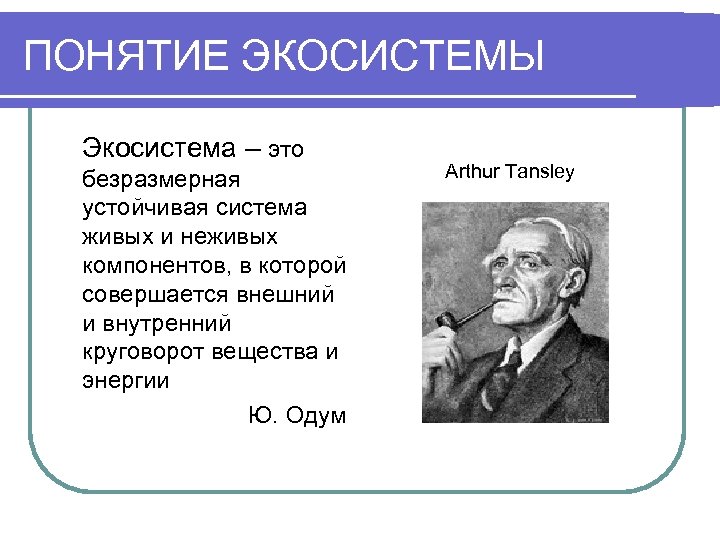 ПОНЯТИЕ ЭКОСИСТЕМЫ Экосистема – это безразмерная устойчивая система живых и неживых компонентов, в которой