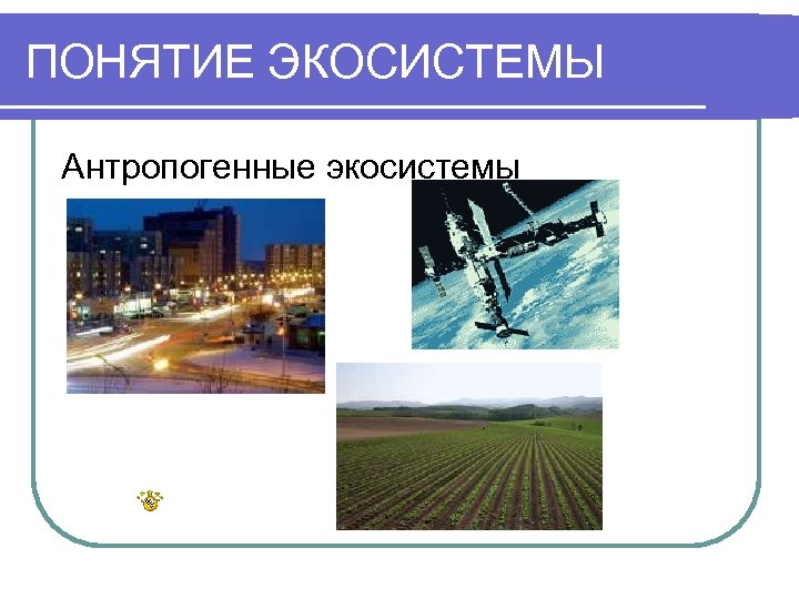 ПОНЯТИЕ ЭКОСИСТЕМЫ Антропогенные экосистемы 