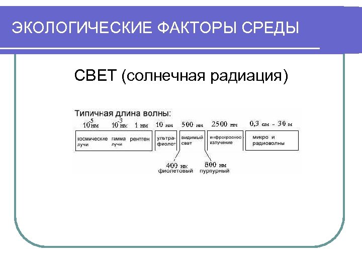 ЭКОЛОГИЧЕСКИЕ ФАКТОРЫ СРЕДЫ СВЕТ (солнечная радиация) 