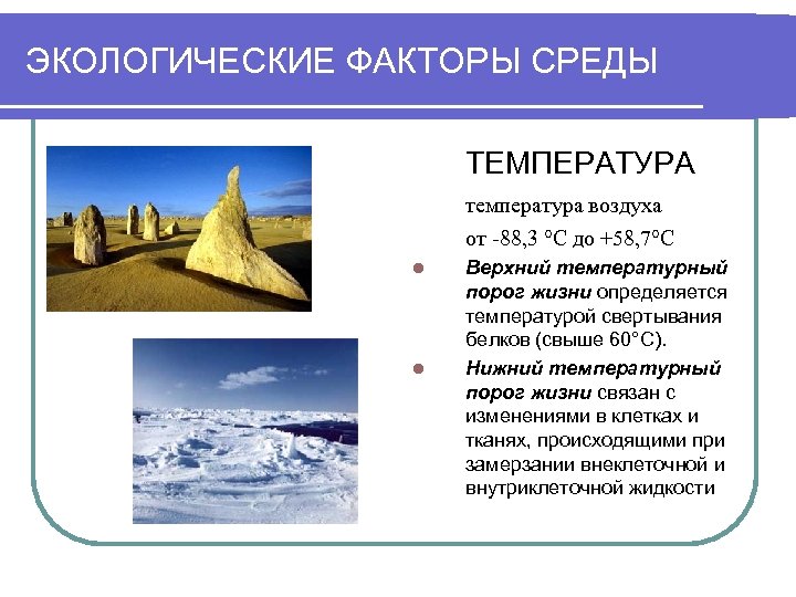 ЭКОЛОГИЧЕСКИЕ ФАКТОРЫ СРЕДЫ ТЕМПЕРАТУРА температура воздуха от -88, 3 °С до +58, 7°С l