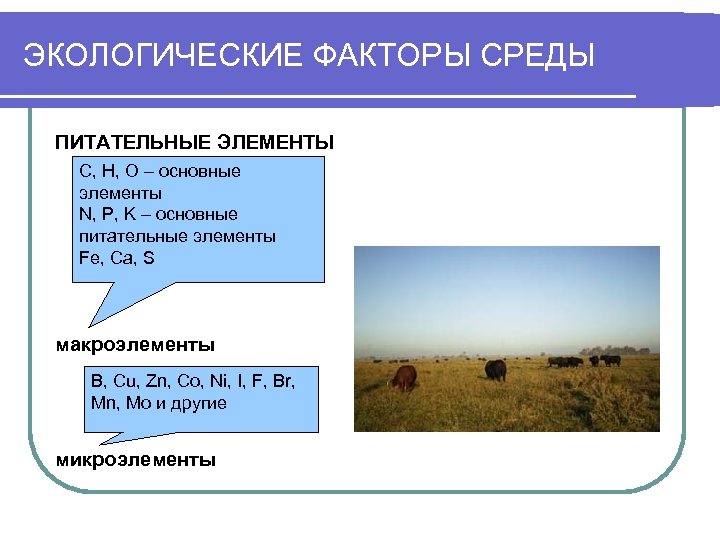 ЭКОЛОГИЧЕСКИЕ ФАКТОРЫ СРЕДЫ ПИТАТЕЛЬНЫЕ ЭЛЕМЕНТЫ C, H, O – основные элементы N, P, K