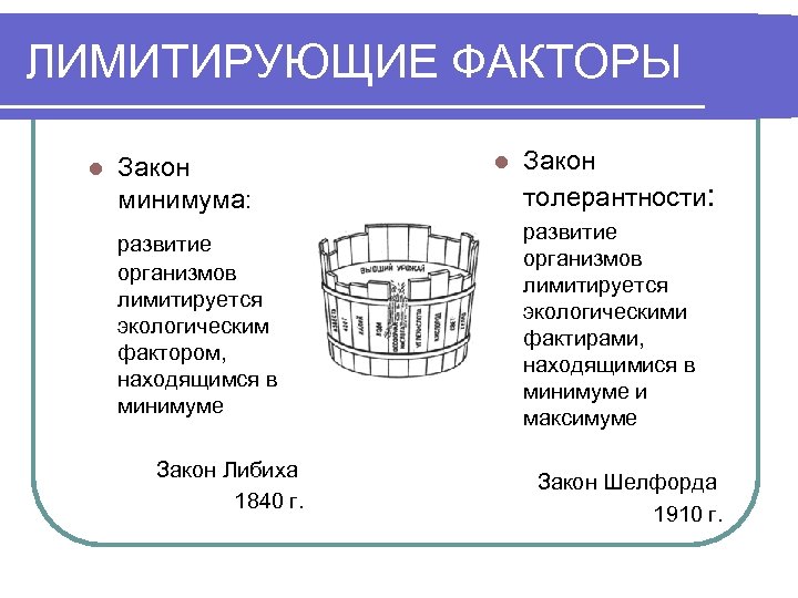 ЛИМИТИРУЮЩИЕ ФАКТОРЫ l Закон минимума: развитие организмов лимитируется экологическим фактором, находящимся в минимуме Закон