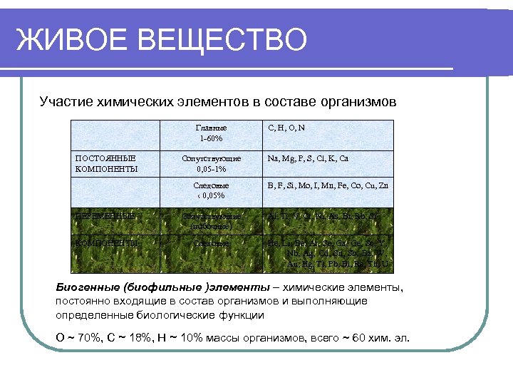 ЖИВОЕ ВЕЩЕСТВО Участие химических элементов в составе организмов Главные 1 -60% ПОСТОЯННЫЕ КОМПОНЕНТЫ Сопутствующие
