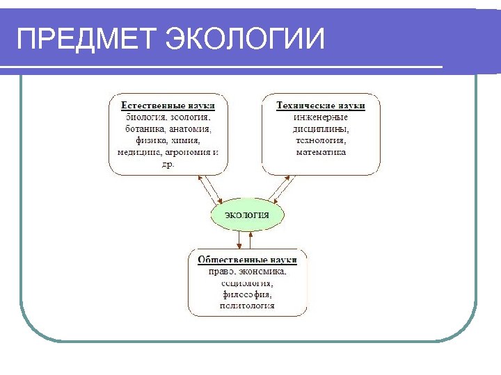 ПРЕДМЕТ ЭКОЛОГИИ 