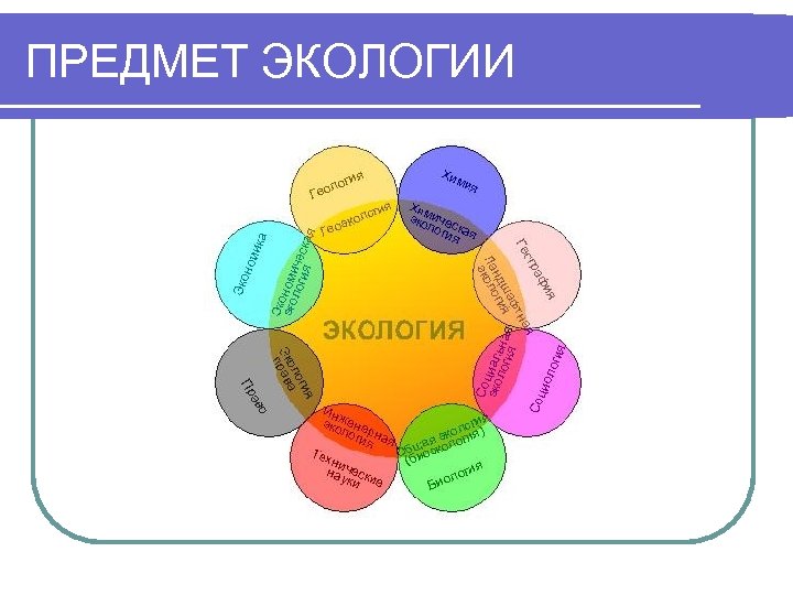 ПРЕДМЕТ ЭКОЛОГИИ 