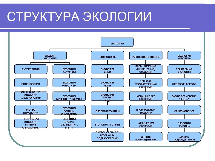 СТРУКТУРА ЭКОЛОГИИ ЭКОЛОГИЯ ОБЩАЯ ЭКОЛОГИЯ ЧЕЛОВЕКА ГЕОЭКОЛОГИЯ ПРИКЛАДНАЯ ЭКОЛОГИЯ РАСТЕНИЙ ЭКОЛОГИЯ СУШИ ПРОМЫШЛЕННАЯ (ИНЖЕНЕРНАЯ)