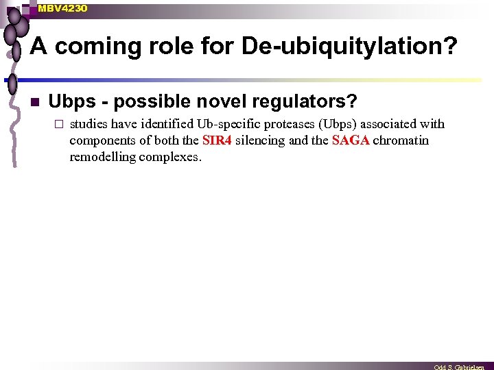 MBV 4230 A coming role for De-ubiquitylation? n Ubps - possible novel regulators? ¨