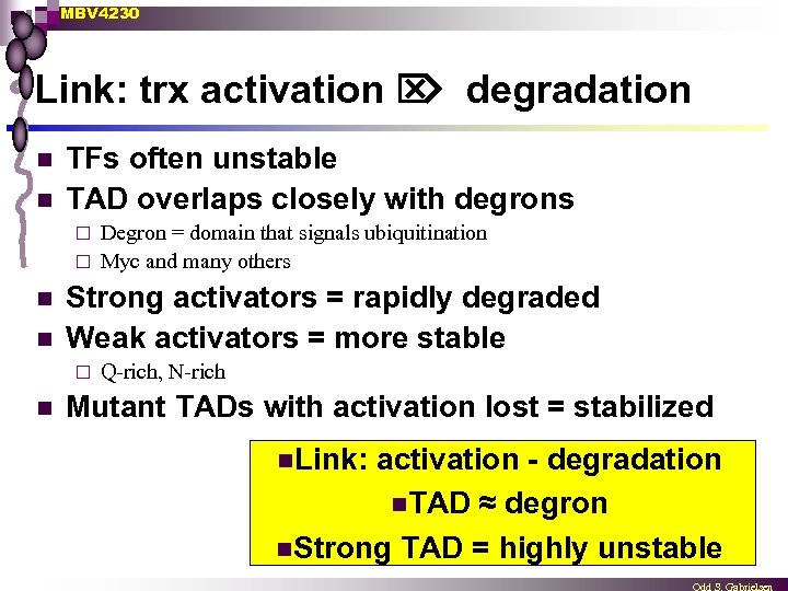 MBV 4230 Link: trx activation degradation n n TFs often unstable TAD overlaps closely