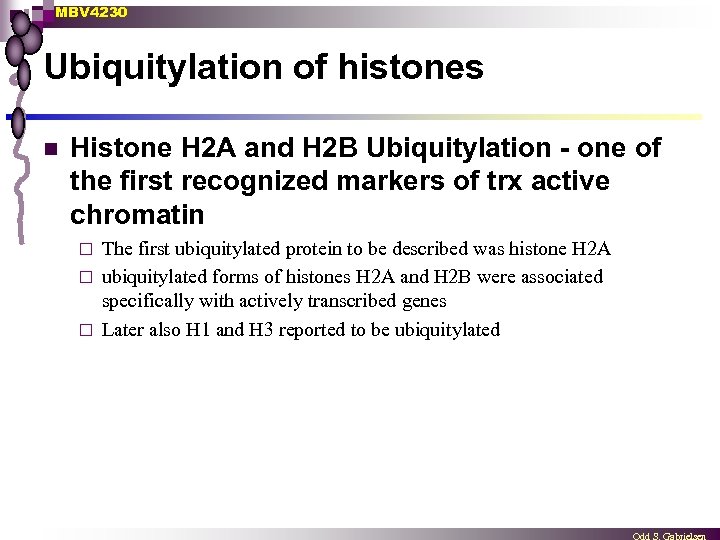 MBV 4230 Ubiquitylation of histones n Histone H 2 A and H 2 B