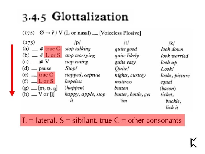 L = lateral, S = sibilant, true C = other consonants 
