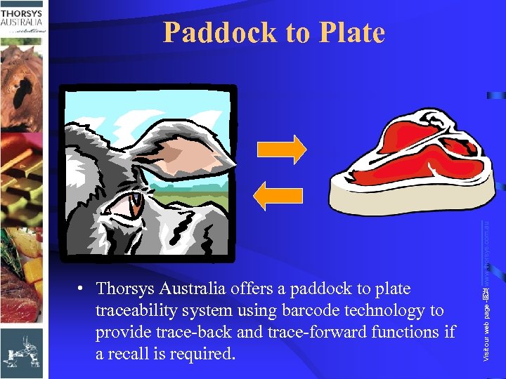 Visit our web page - 网 址 • Thorsys Australia offers a paddock to
