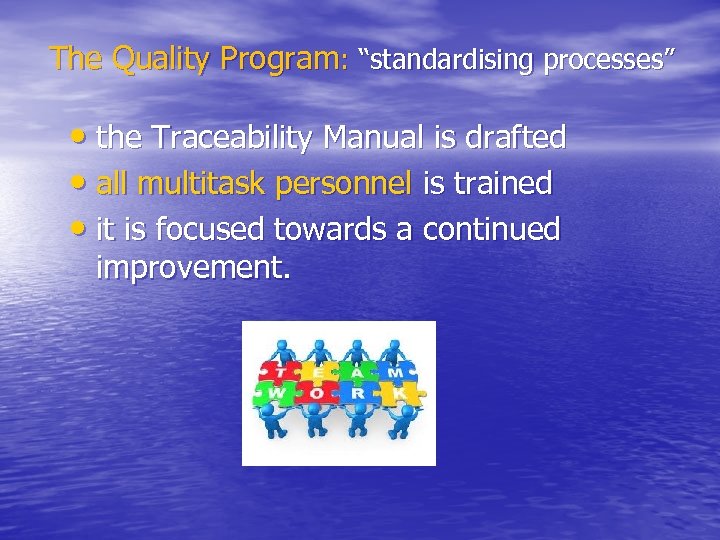 The Quality Program: “standardising processes” • the Traceability Manual is drafted • all multitask