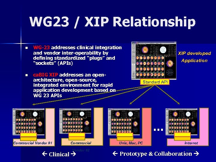 WG 23 / XIP Relationship n n WG-23 addresses clinical integration and vendor inter-operability