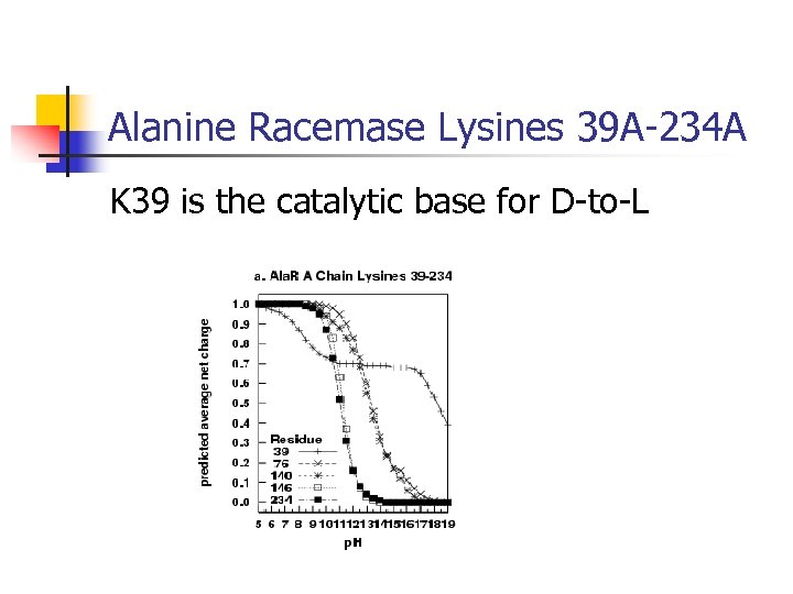 Alanine Racemase Lysines 39 A-234 A K 39 is the catalytic base for D-to-L