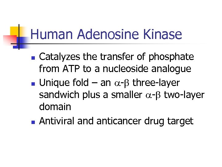 Human Adenosine Kinase n n n Catalyzes the transfer of phosphate from ATP to