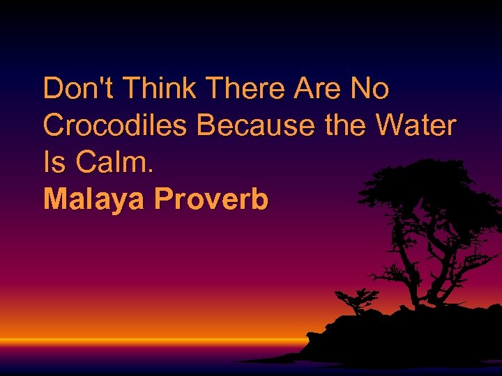 Don't Think There Are No Crocodiles Because the Water Is Calm. Malaya Proverb 