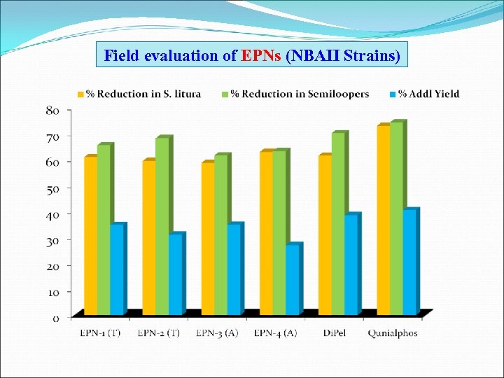 Field evaluation of EPNs (NBAII Strains) 