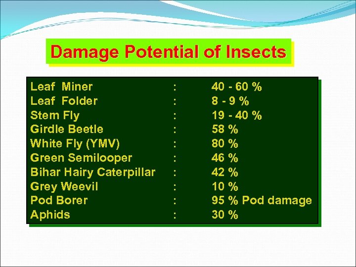 Damage Potential of Insects Leaf Miner Leaf Folder Stem Fly Girdle Beetle White Fly