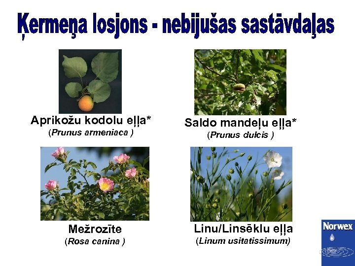 Aprikožu kodolu eļļa* (Prunus armeniaca ) Saldo mandeļu eļļa* (Prunus dulcis ) Mežrozīte Linu/Linsēklu