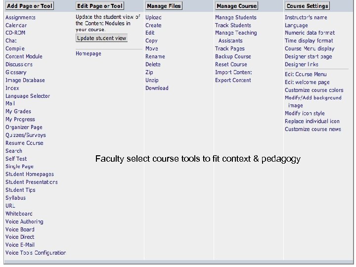 Faculty select course tools to fit context & pedagogy 