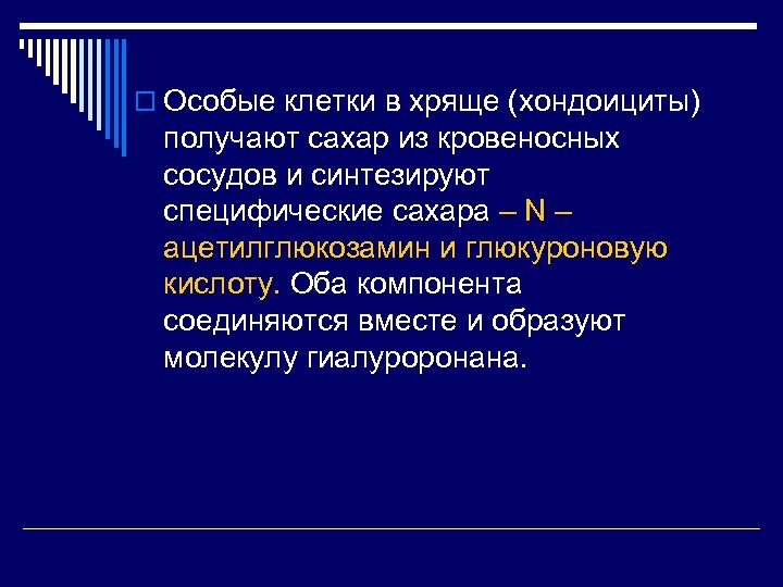 o Особые клетки в хряще (хондоициты) получают сахар из кровеносных сосудов и синтезируют специфические