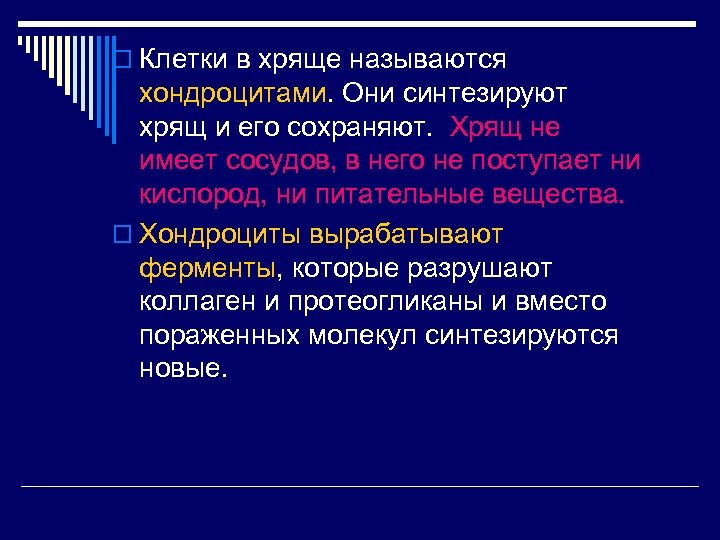 o Клетки в хряще называются хондроцитами. Они синтезируют хрящ и его сохраняют. Хрящ не