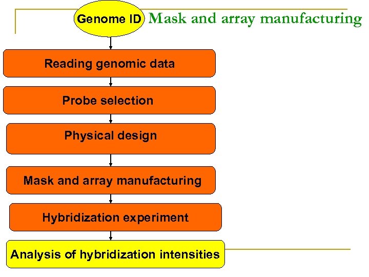 Genome ID Mask and array manufacturing Reading genomic data Probe selection Physical design Mask
