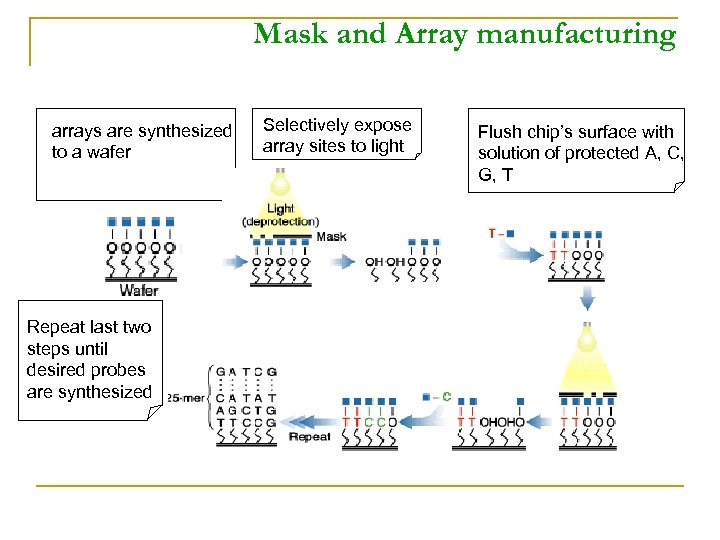 Mask and Array manufacturing arrays are synthesized to a wafer Repeat last two steps
