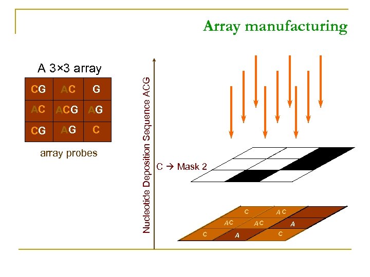 Array manufacturing CG AC ACG AG C array probes Nucleotide Deposition Sequence ACG A