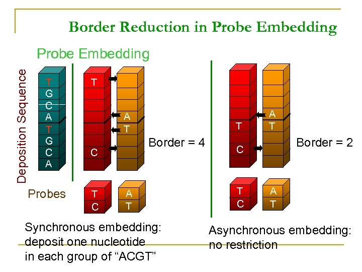 Border Reduction in Probe Embedding Deposition Sequence Probe Embedding T G C A Probes